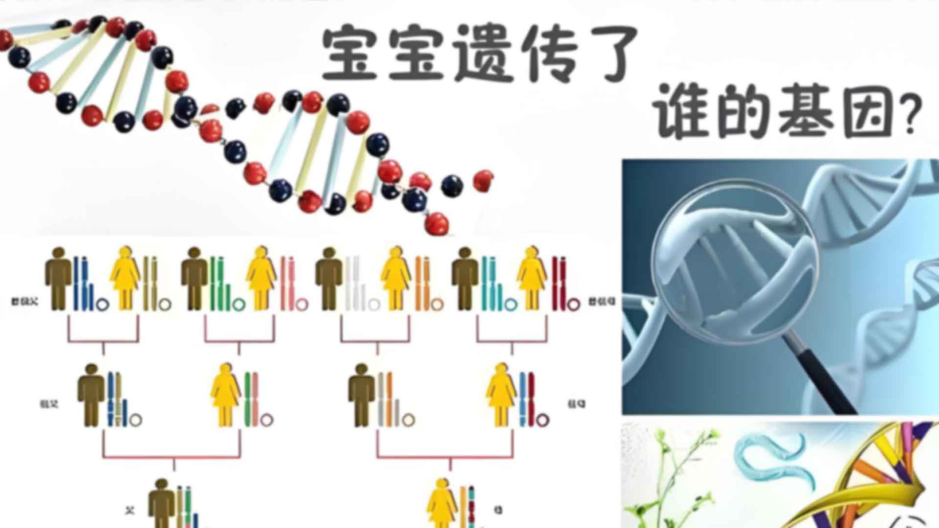 长春德惠市孕期亲子鉴定去机构哪个好